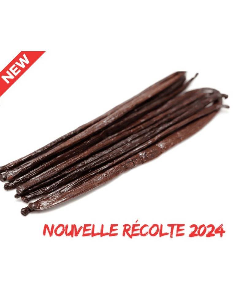 gousses de vanille Kely 2024