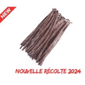 Vanille noire Gourmet 2024