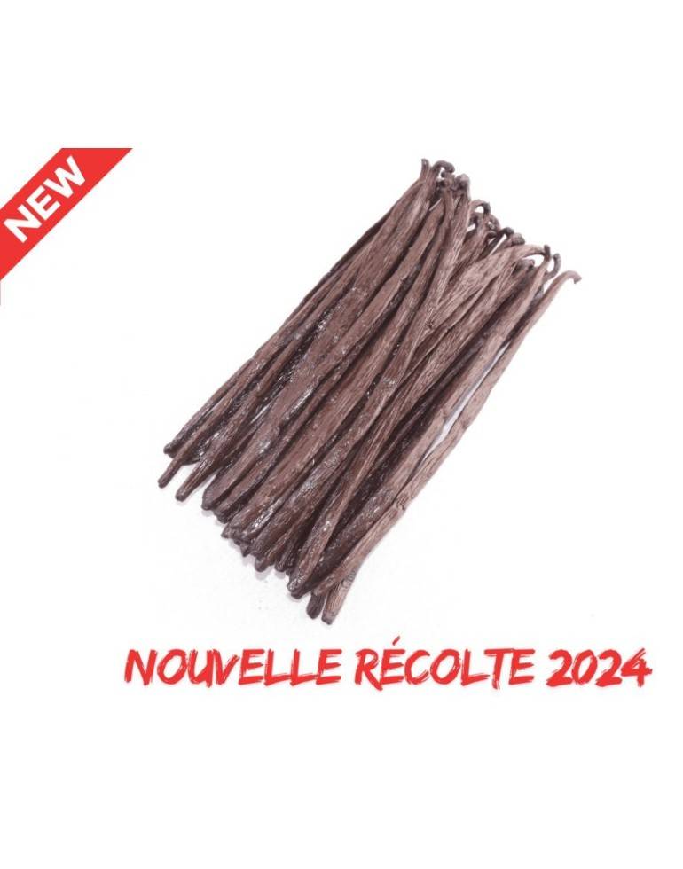 Vanille noire Gourmet 2024