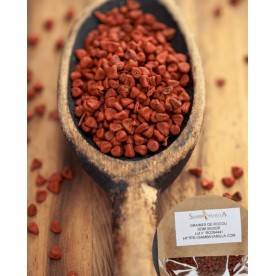 Annatto Seeds from Guatemala