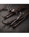 PNG vanilla beans XL