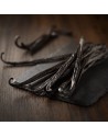 XL Papua New Guinea Grand Cru Vanilla Beans