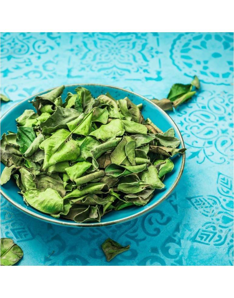 Kaffir Leaves from Madagascar