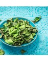 Kaffir Leaves from Madagascar