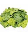 Kaffir Leaves from Madagascar
