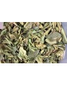 Kaffir Leaves from Madagascar
