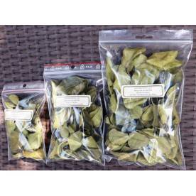 Kaffir Leaves from Madagascar