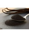 Dried Vanilla Seeds from Madagascar