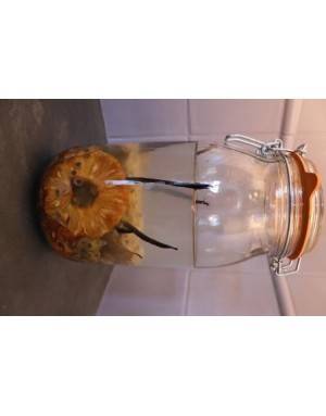 pineapple rum preparation