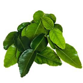 feuilles de kaffir sambavanilla