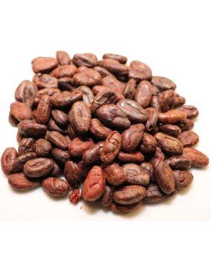 roasted cocoa beans