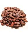 roasted cocoa beans