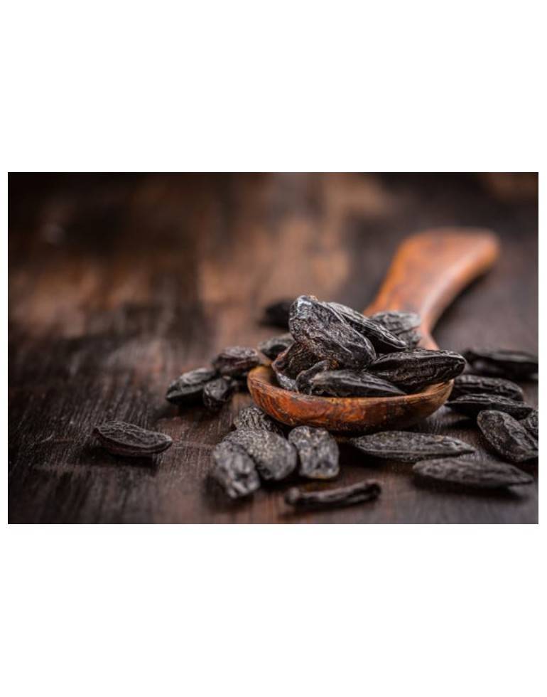 Tonka beans from Amazonia