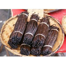 Sambavanilla Comoros vanilla beans 17-19 cm