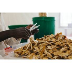 Bananes séchées du Cameroun - Les épices curieuses