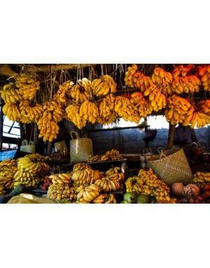 bananas from Madagascar.