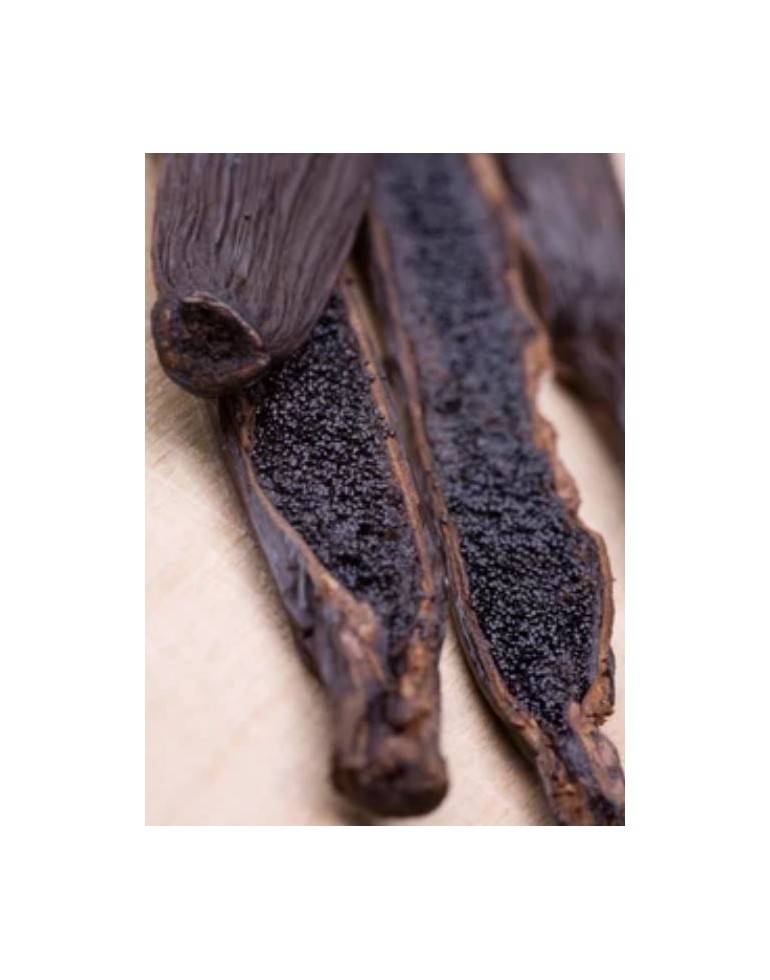 Gousses de vanille Noire Gourmet | Sambavanilla