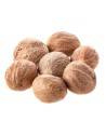 Whole nutmeg from Madagascar