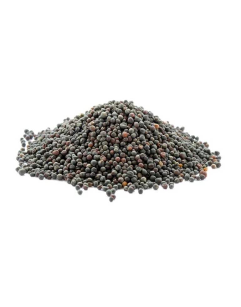 Graines de moutarde brune