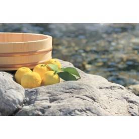 Japanese Yuzu