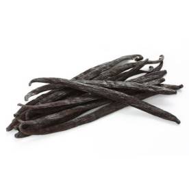 Uganda vanilla beans from Sambavanilla