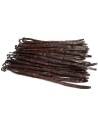 Uganda 17-18 cm vanilla beans