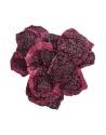 Dried dragon fruit