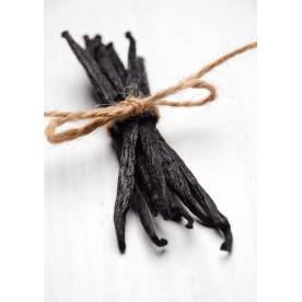 Lady Finger Vanilla beans