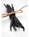 Lady Finger Vanilla beans