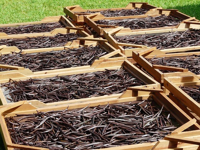 The whole history of Madagascar vanilla