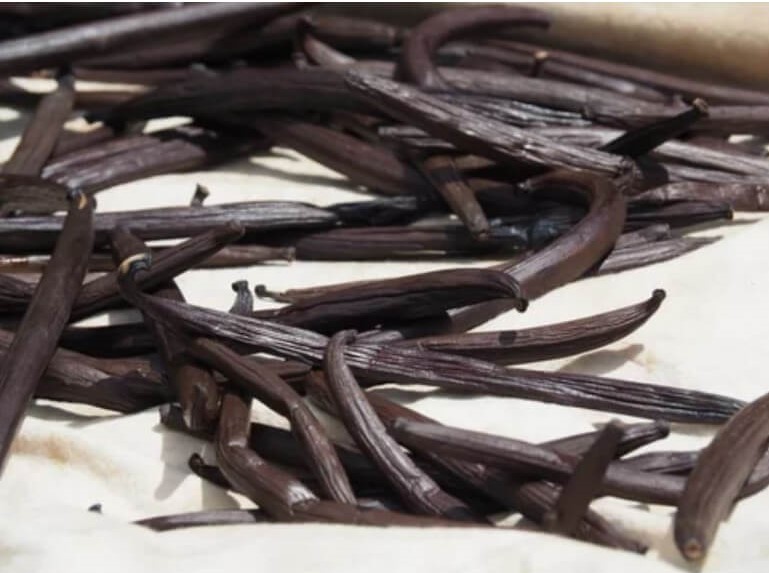 The whole history of Madagascar vanilla