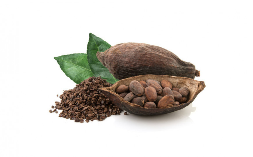 Tout Savoir sur la Fève de Cacao avec Sambavanilla