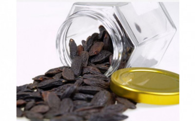 7 Benefits of Tonka Bean Essential Oil - HubPages