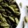  What are the benefits of cardamom?