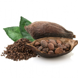 Cocoa bean, a healthy and powerful ingredient