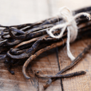 Why is the smell of vanilla so popular ?